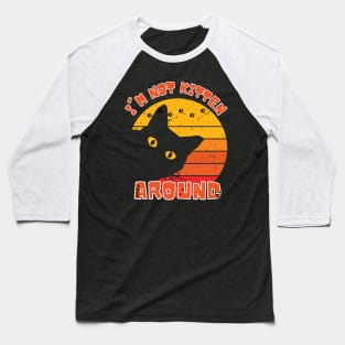 Vintage Sunset with Cat Silhouette and Pun Text Baseball T-Shirt